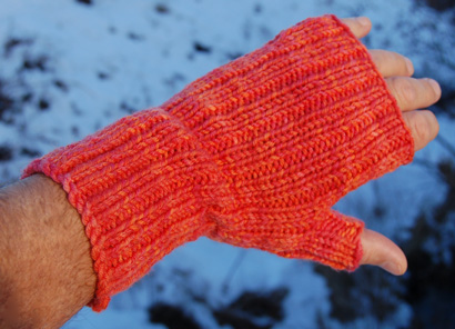 Ivy Brambles Poppies Fingerless Mittens Pattern